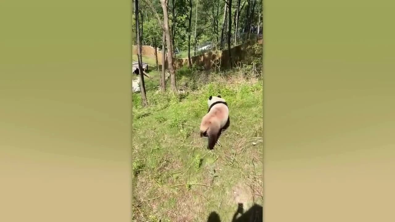 Let's have a little laugh, because when it comes to real money, nothing... follow me!