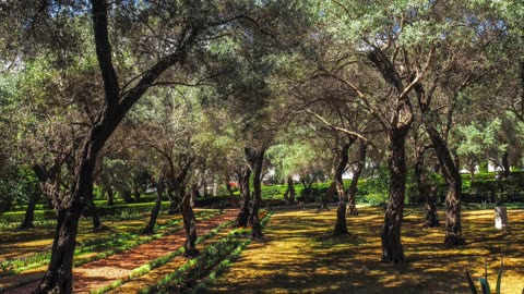 Many Christians misunderstand the Gospel – Sermon Audio 11/30/25