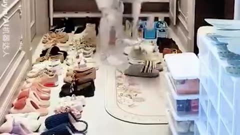 Robot clean your home