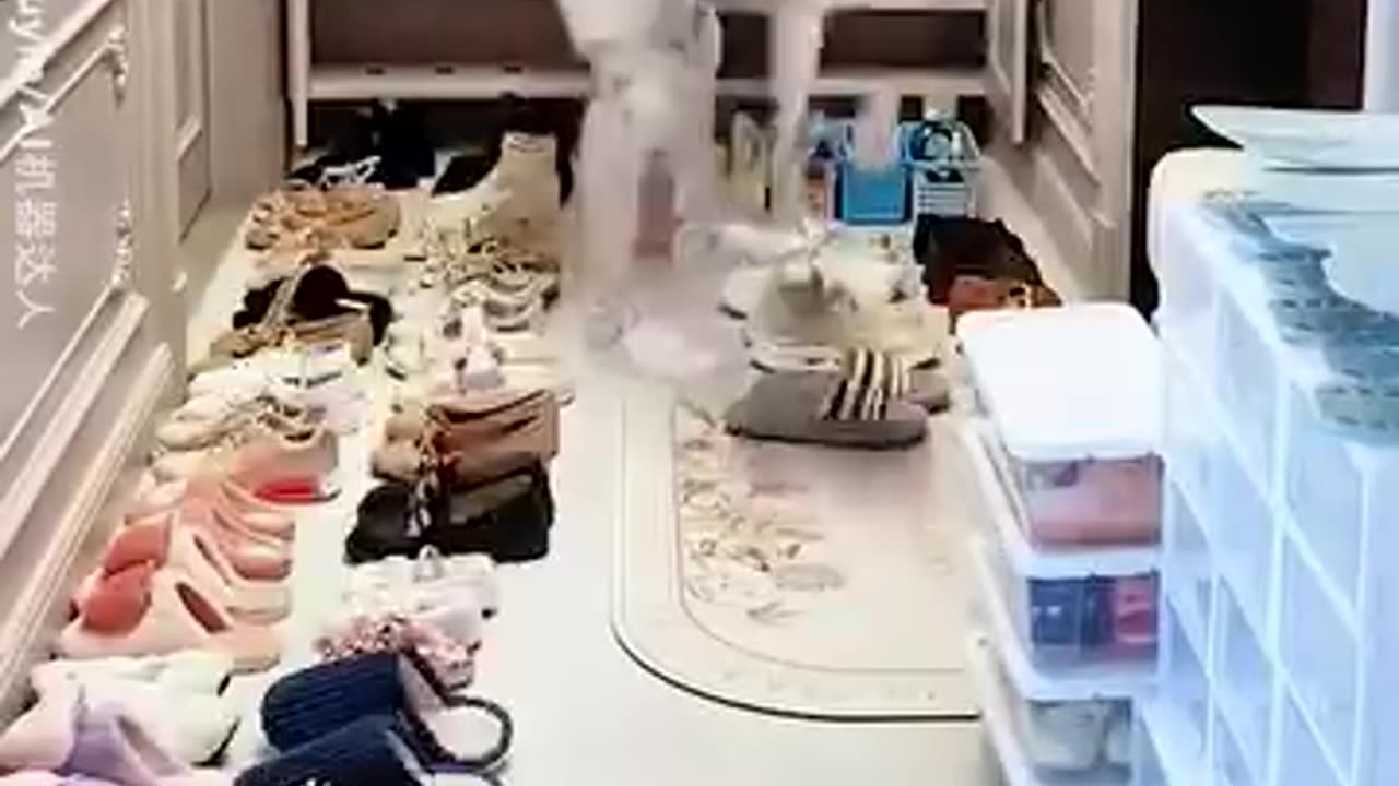 Robot clean your home