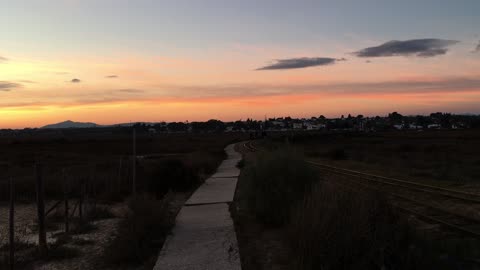 Barril Beach (Tavira Island, Algarve, Portugal) 8