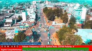 Oduu Ganama ONM-ABO Waxaabajjii 21-2025 itti dhiyaadhaa!
