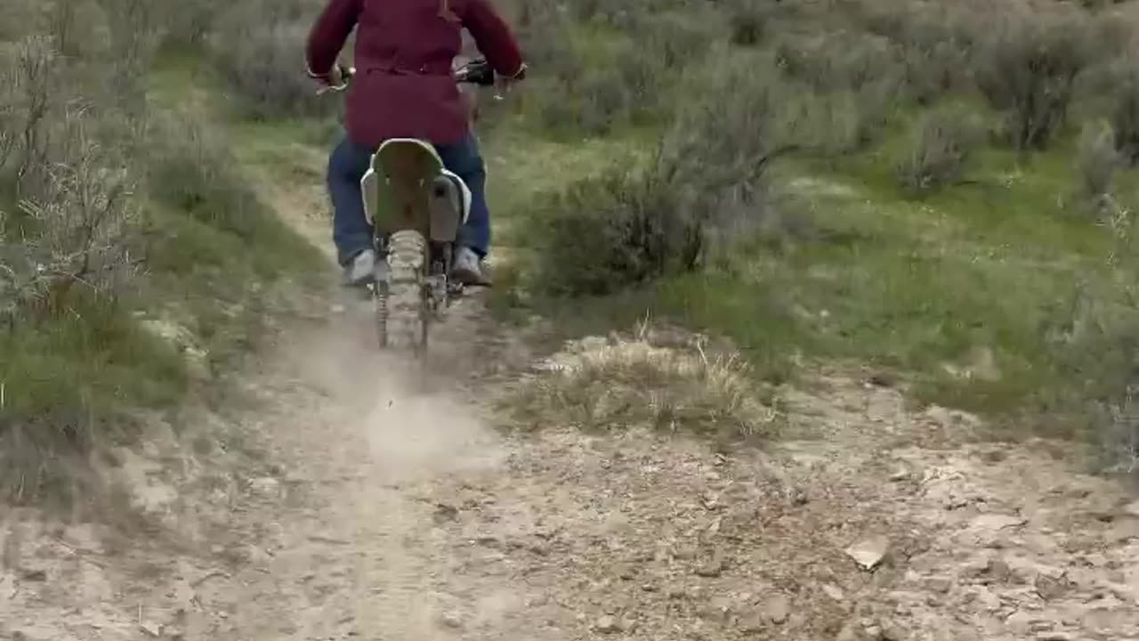 Motorcyles and Cows out here living! cartercountrymeats.com