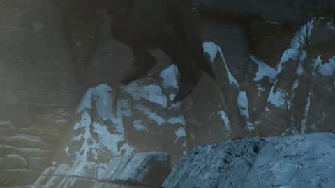 The Witcher 3 flying bug