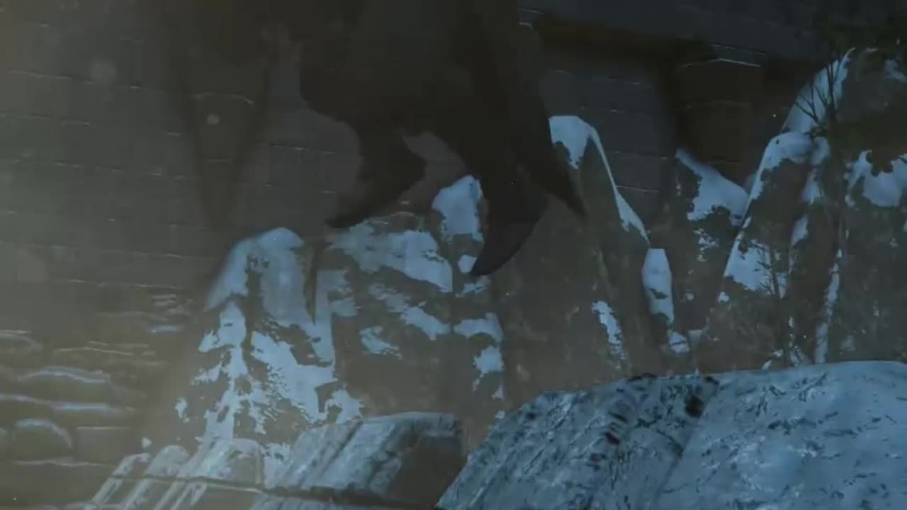 The Witcher 3 flying bug