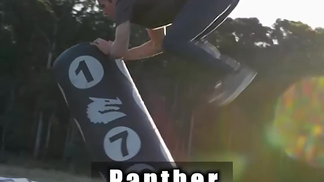 Funny animals How Animals Fight