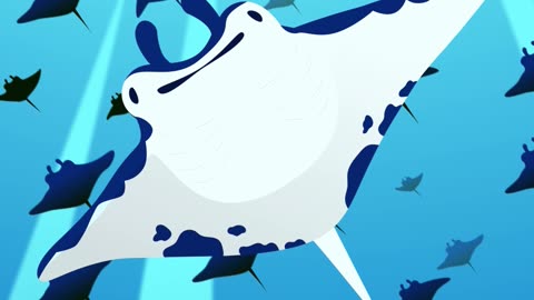 How Dangerous Is Australia Really? Stingray