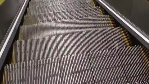 🤣📹 Epic Escalator Video FAIL! Wait For It... | FunFM