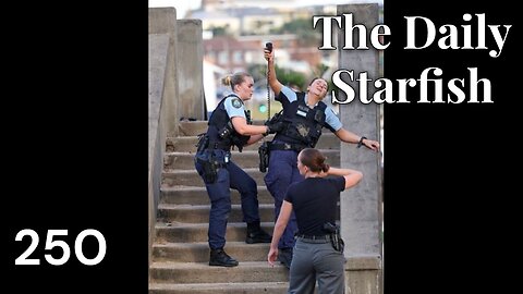 The Daily Starfish #250