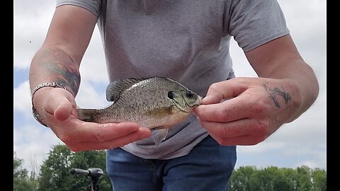 Good vs Better Panfish combo.