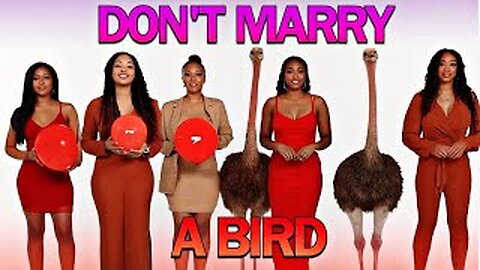 DONT MARRY A BIRD #VIRAL #TRENDING #REACTION