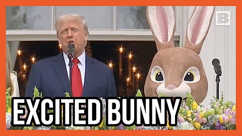 Easter Bunny Seems Excited About Record High Military Enrollment