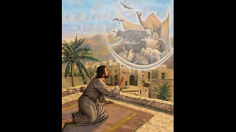 PETERS VISION OF ANIMALS: WHAT WAS THE PURPOSE OF GOD IN THIS? DIETARY RESTRICTIONS HIGHLIGHTED.....