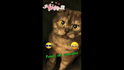 Funny cat controller