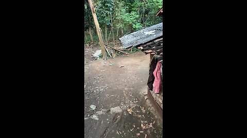 Siapa yang untung? Pencuri atau aku? 🤔 Who actually gained? The thief or me? 🤨