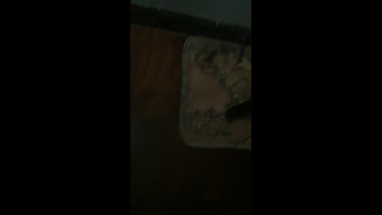 Scarier than a rat