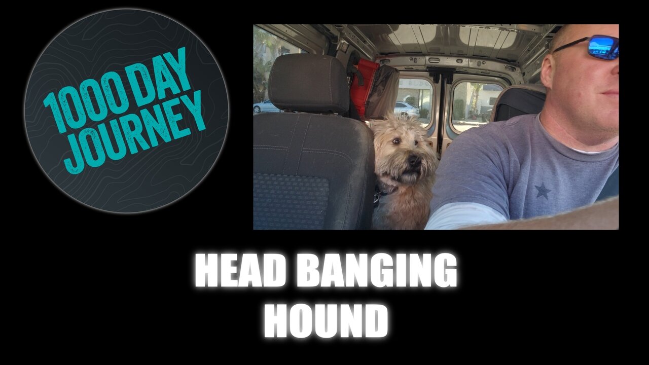 1000 Day Journey 0633 Head Banging Hound