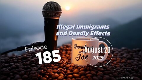 Illegal Immigrants and Deadly Effects