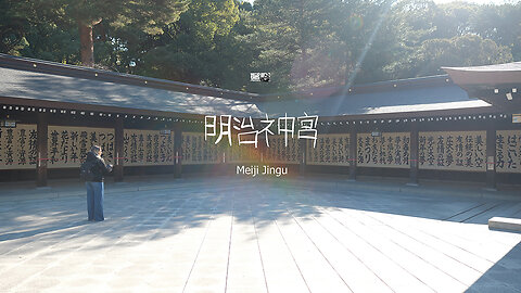 Cinematic video from Meiji Jingu in Tokyo