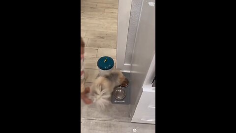 🔥 "This Will Restore Your Faith in Humanity 😢❤️"