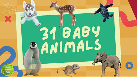 31 Baby Animal Names You Need to Know!
