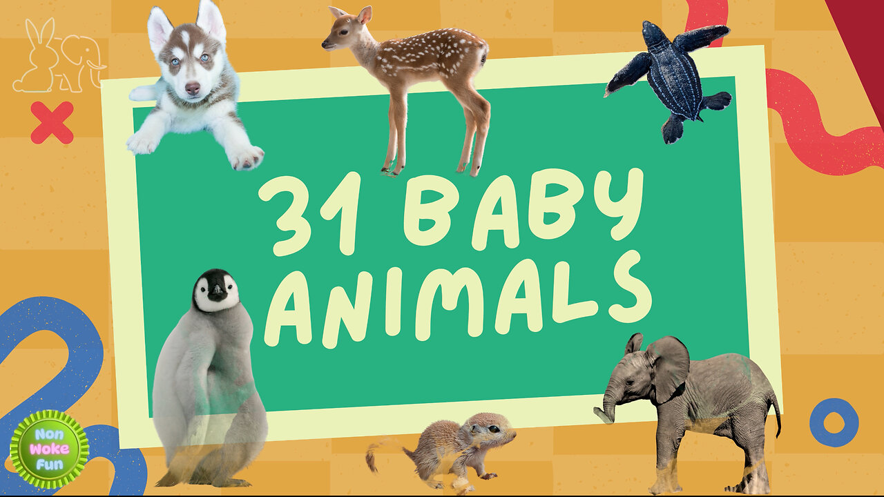 31 Baby Animal Names You Need to Know!