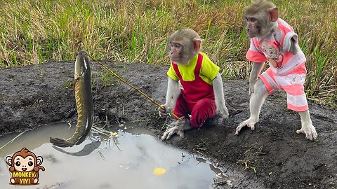 YiYi and YinYin react strangely when catching a big fish