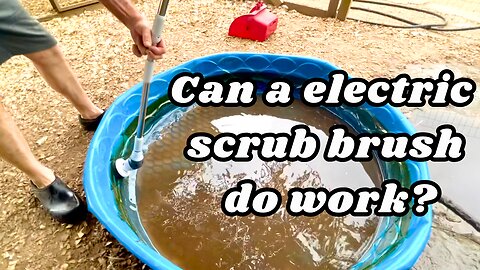 8 in 1 electric scrub brush vs Our Texas homesteads dirty duck pools
