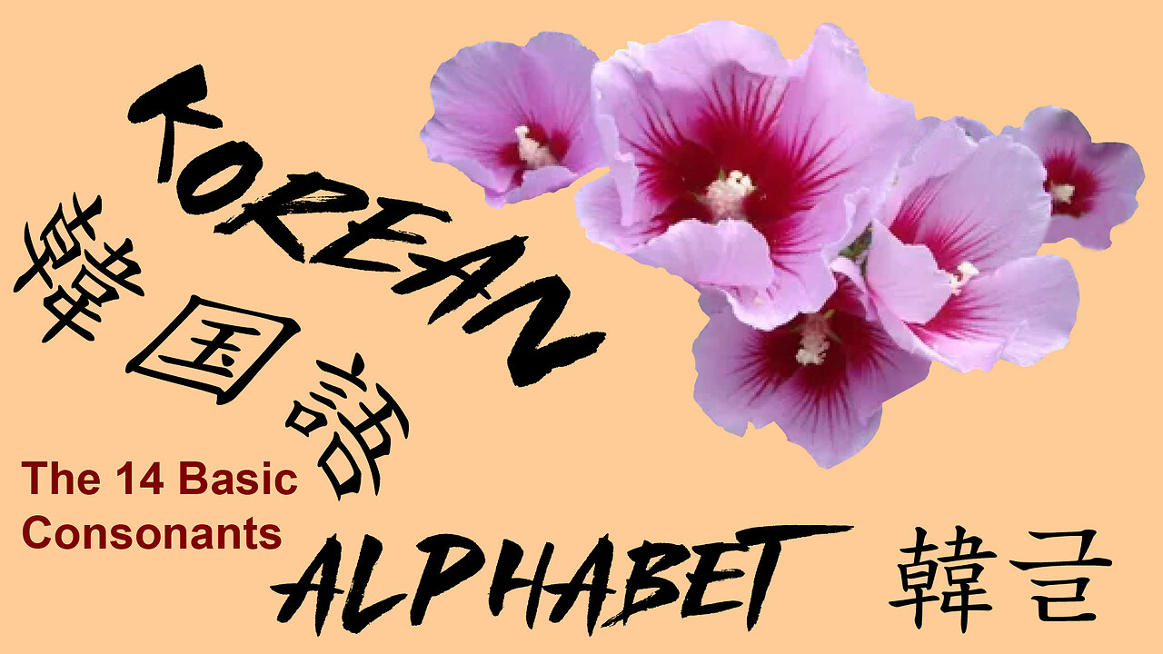 KOREAN ALPHABET - 韓글 한글 - The 14 Basic Consonants