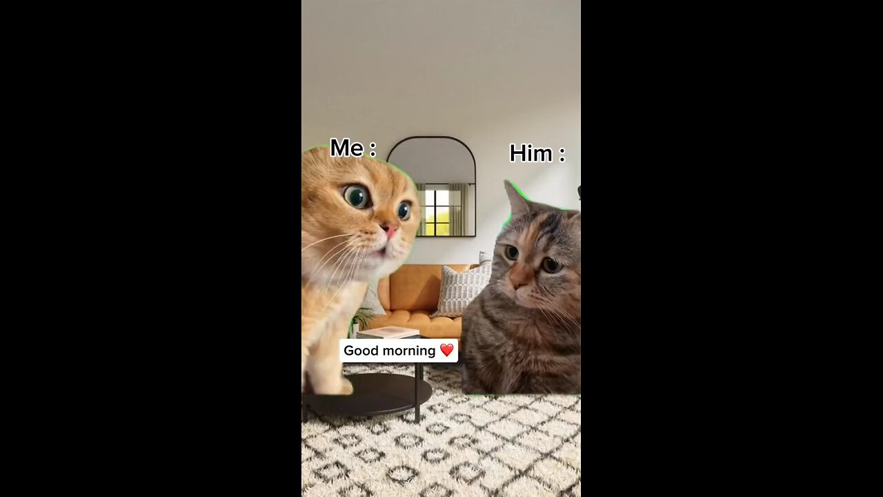 the "don't start" is definitely an invitation to start 😌 #viral #meme #shorts #foryou #funny