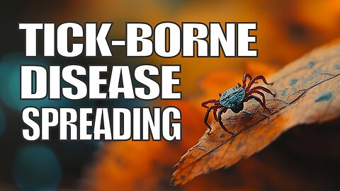 DEADLY Tick Virus Spreading Across the U.S. — What They’re Not Telling You