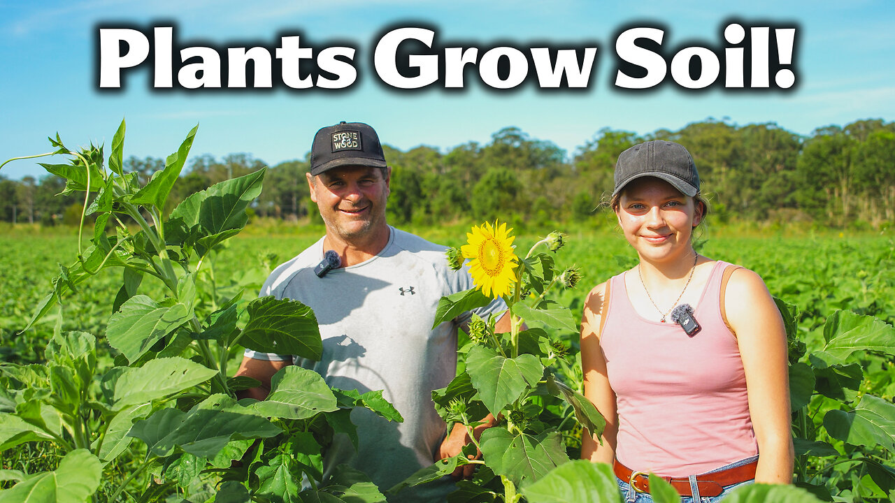 He Turned Rock Hard Dirt Into Rich Fluffy Soil Using Multispecies Crops