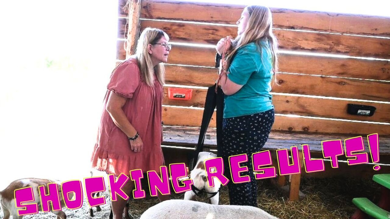 TESTING Our HERD To See If They Can Be BRED!