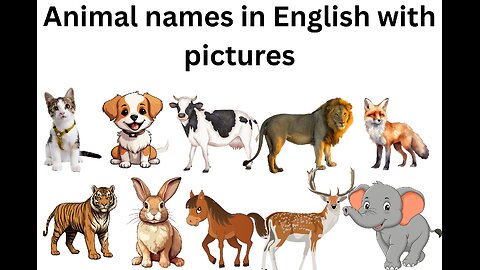 Animal names in english with pictures