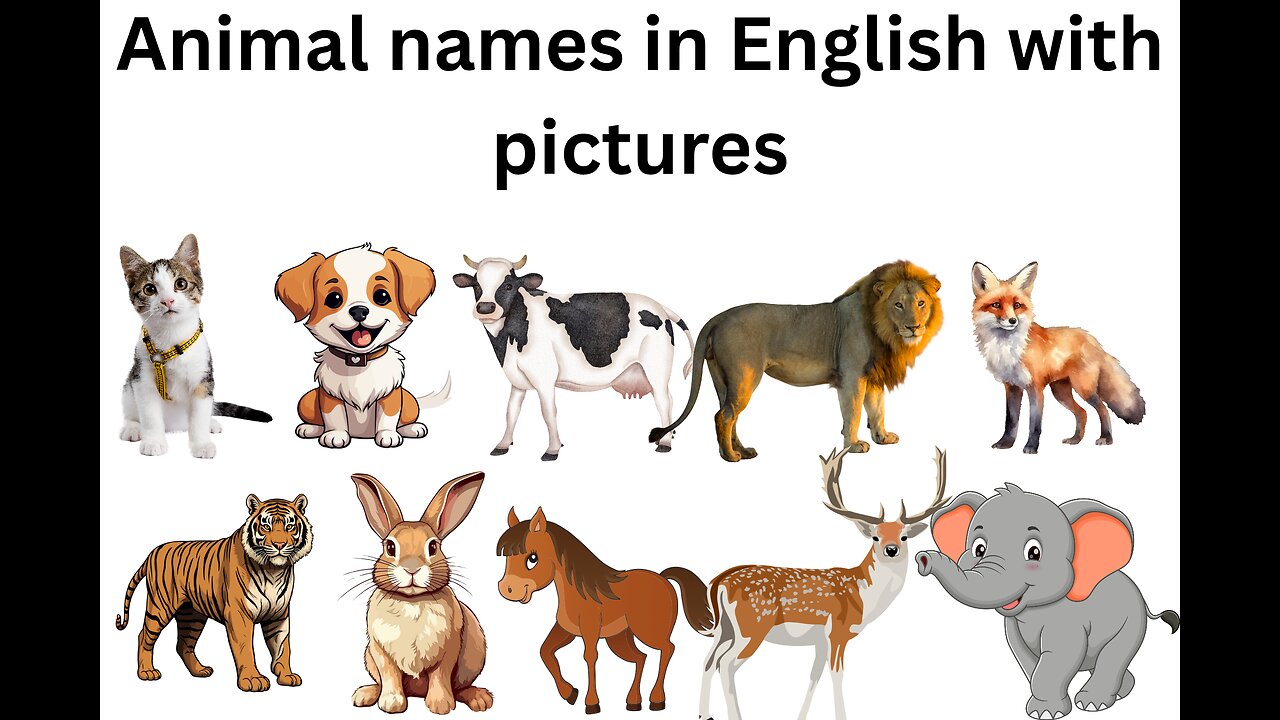 Animal names in english with pictures