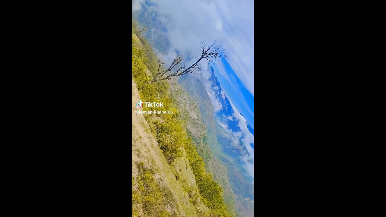 nice view
