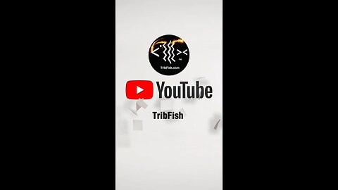 Tribfish - YouTube