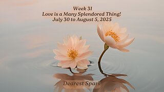 July 30 to August 5, 2025 ~ Week 31 Numerology Energy ~ Love is a Many Splendored Thing!