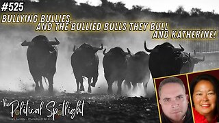 #525 | Bullying Bullies, and the Bullied Bulls they Bull and Katherine! | The Political Spotlight
