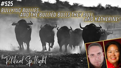 #525 | Bullying Bullies, and the Bullied Bulls they Bull and Katherine! | The Political Spotlight