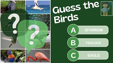Guess the Bird 30 British Bird Calls Challenge