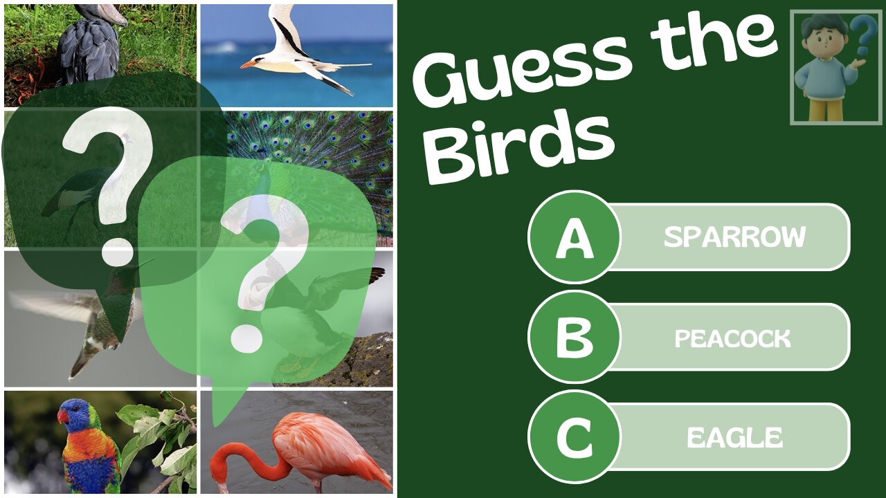 Guess the Bird 30 British Bird Calls Challenge