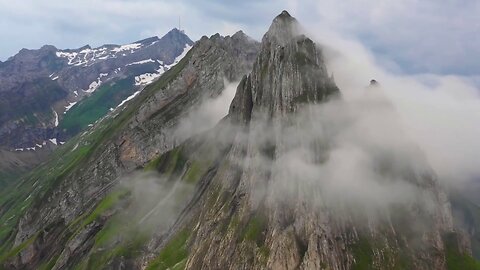 The original forest on flat earth part 26 preview, Final Chapter - Biblical Tree Remains