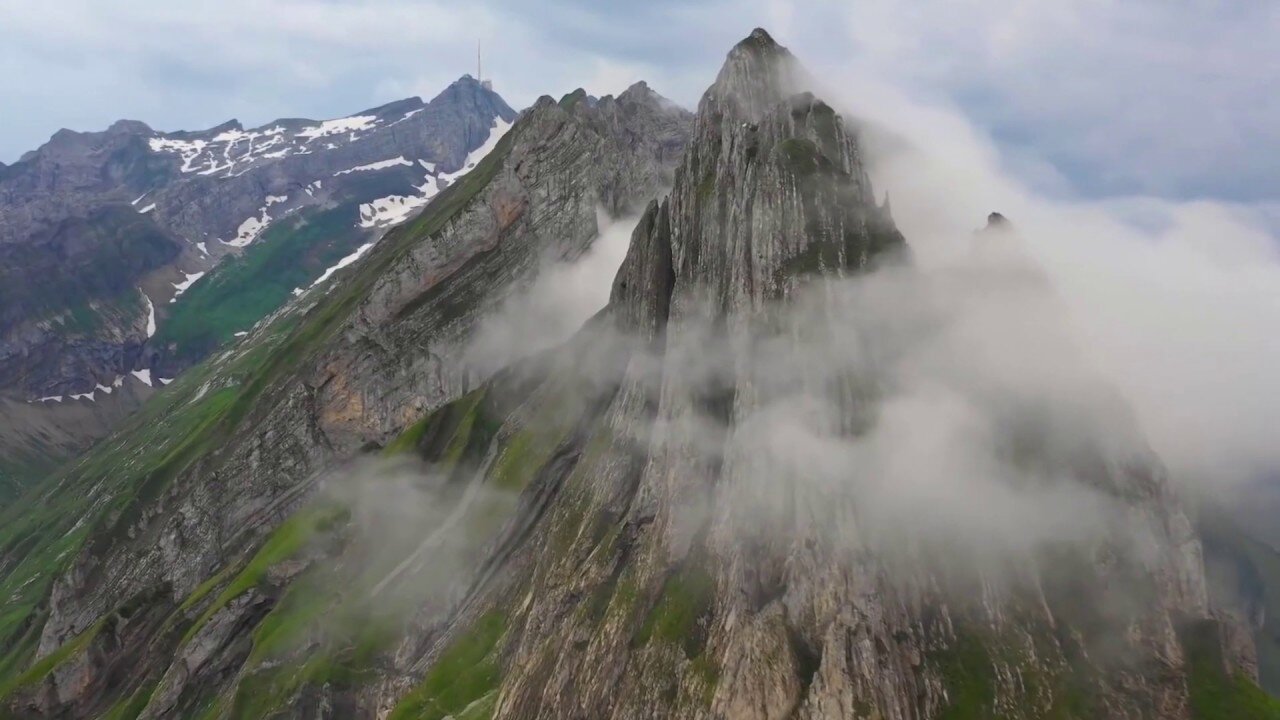 The original forest on flat earth part 26 preview, Final Chapter - Biblical Tree Remains