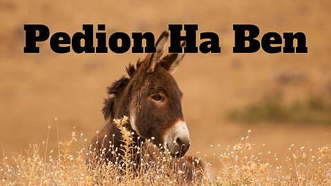 Throwback Tuesday - Pedion Ha Ben