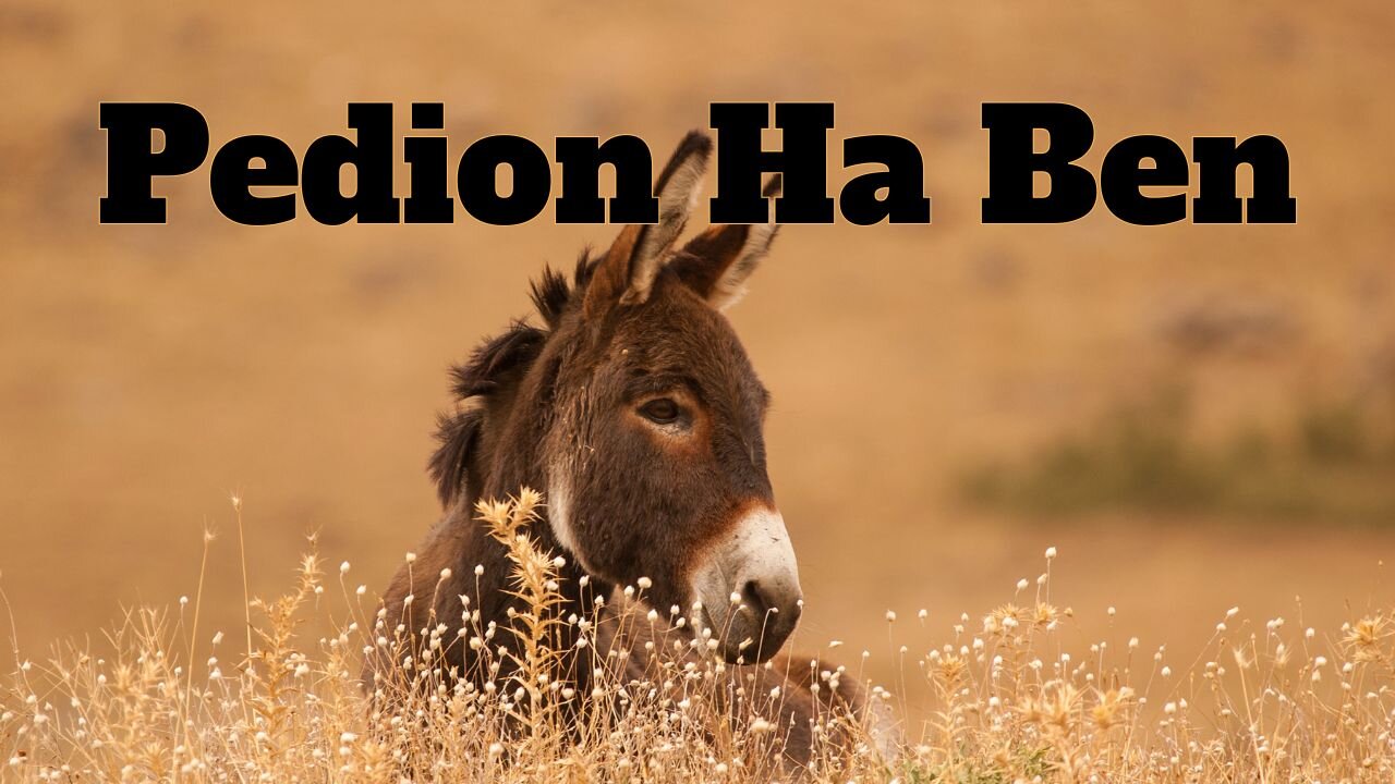 Throwback Tuesday - Pedion Ha Ben