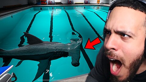 I think I S@&T myself playing this game!(GUYS HELP) | Sharks and Minnows
