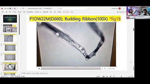 PFIZER_MODERNA SHOTS BUILDING BIOHYBRID BOTS - Dr. Jane Ruby