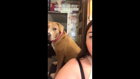 Aggie is sassy