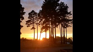 September 24th, 2025, Sunset On The Pacific. A Hidden Pines view, on site #32. A sunset and a song.